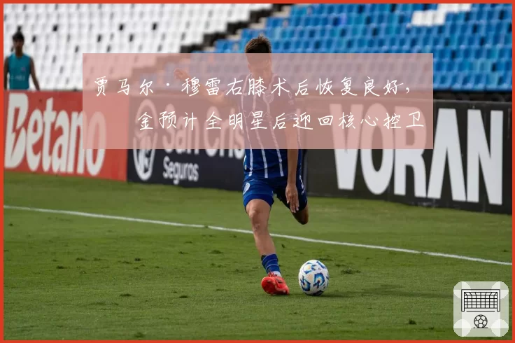 贾马尔·穆雷右膝术后恢复良好，掘金预计全明星后迎回核心控卫
