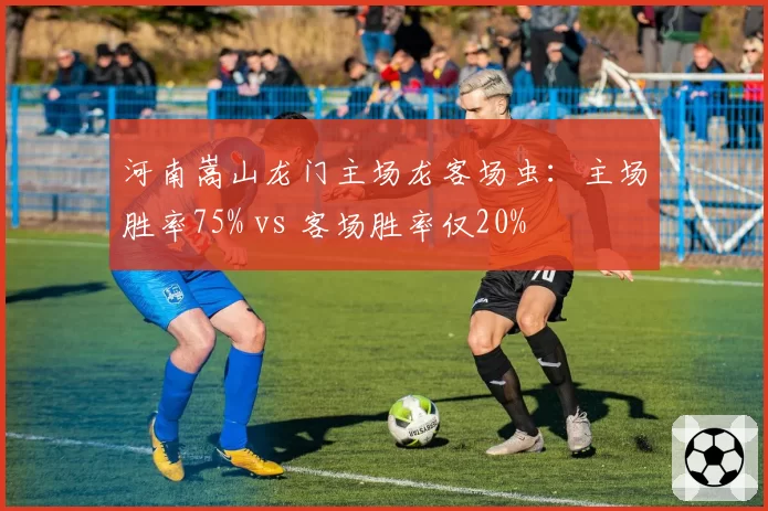 河南嵩山龙门主场龙客场虫：主场胜率75% vs 客场胜率仅20%